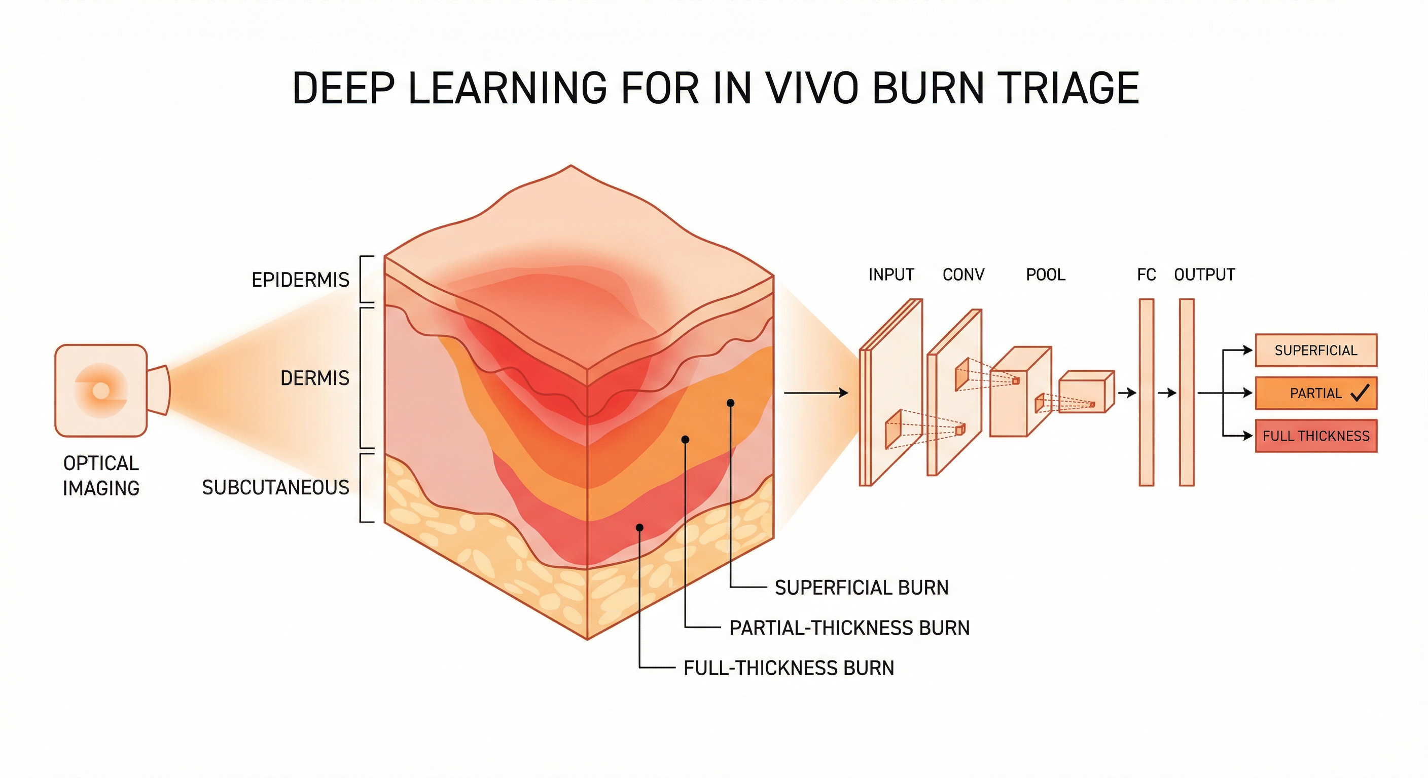 Burn Injury Triage